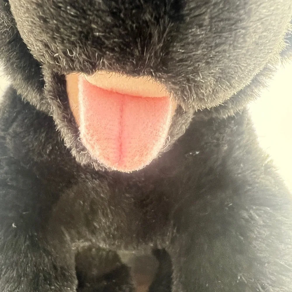 Build-A-Bear measures 18